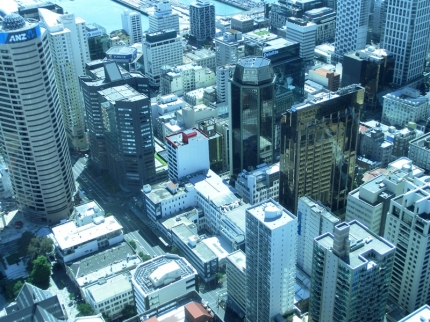 auckland (11)